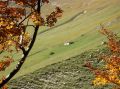 Autunno vivace